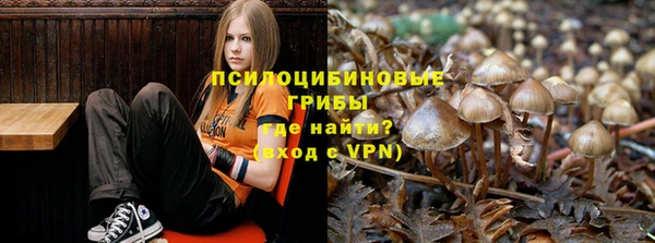 гашишное масло Аркадак
